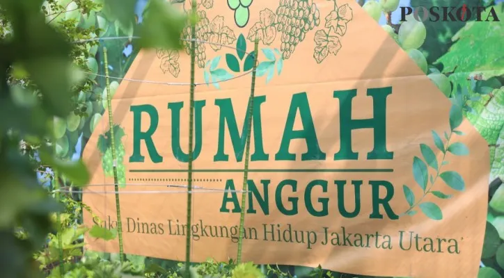 Rumah anggur yang diresmikan oleh Walikota Jakarta Utara.