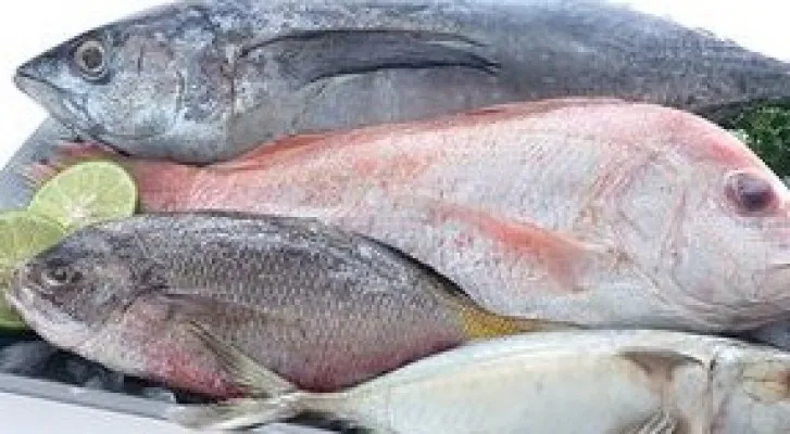 Ikan bisa bermanfaat untuk kesehatan otak