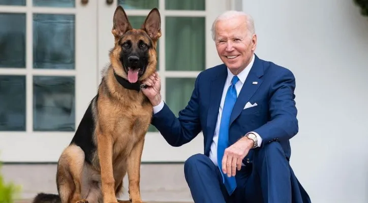 Presiden Amerika Serikat Joe Biden bersama Commander, anjing peliharaan di Gedung Putih (Foto: Instagram/potus)