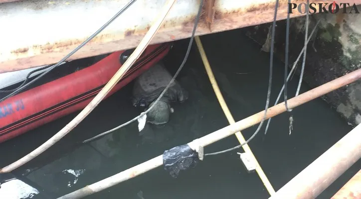 Mayat tanpa identitas ditemukan mengambang di Kali Sunter, Tanjung Priok. Temuan membuat geger warga sekitar. (foto: poskota/ ivan)