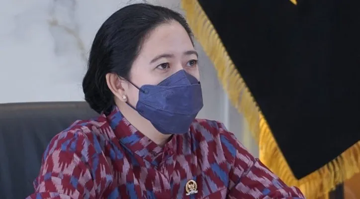 Ketua DPR, Puan Maharani. (foto: ist)