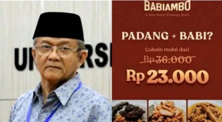 Kolase foto Wakil Ketua MUI Anwar Abbas dan flyer penjualan menu masakan Padang olahan babi. (foto: diolah dari google)