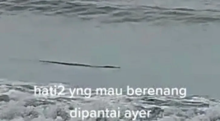 Kkemunculan seekor buaya di Pantai Anyer yang terekam kamera wisatawan. (bidhumas)