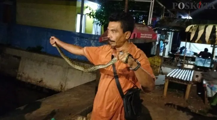 Asep setelah melumpuhkan ular sanca. (foto: poskota/cr01)