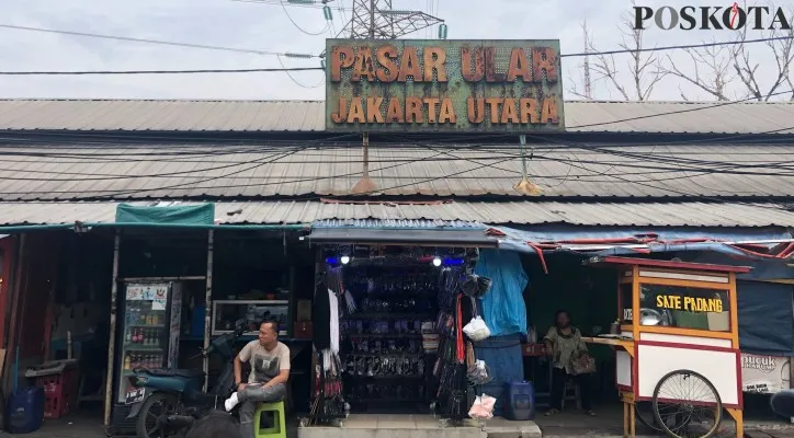 Pasar ular, Jakarta Utara. (cr01)