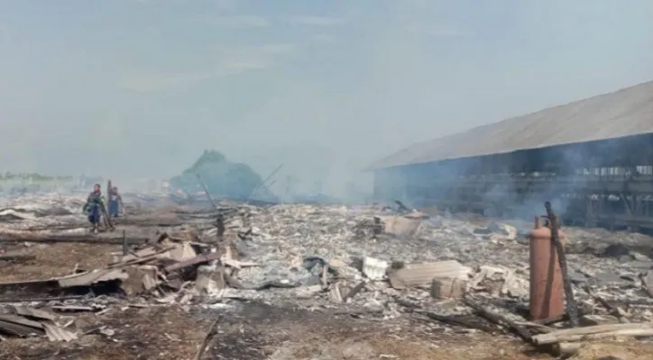 Petugas pemadam kebakaran saat memadamkan api di lokasi kandang ayam Pebayuran Bekasi. (Ist).