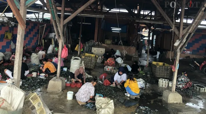 Tempat produksi kerang hijau milik Warnadi di warga  Kalibaru, Cilincing, Jakarta Utara.(CR-01)