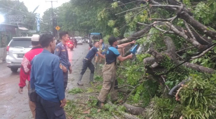 Berkendara Saat Hujan Lebat Pria Paruh Baya Di Tangerang Nyaris Tertimpa Pohon Tumbang