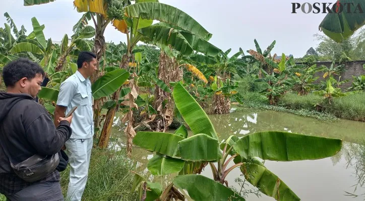 Empang lokasi tindakan asusila sesama jenis di samping RS Mitra Keluarga, Kalideres, Jakarta Barat. (foto: poskota/pandi)