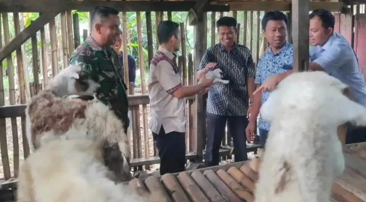 Jajaran Disnakeswan Kabupaten Lebak saat memberikan Bimtek kepada para peternak domba. (foto: ist)