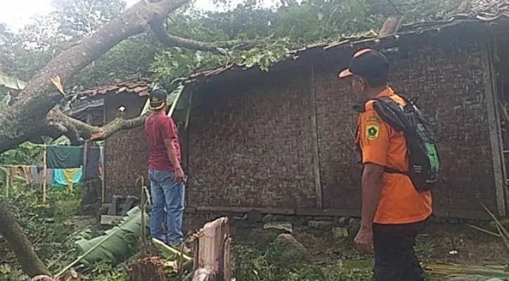 Rumah ambruk kena puting beliung. (dok BPBD Kabupaten Bogor)