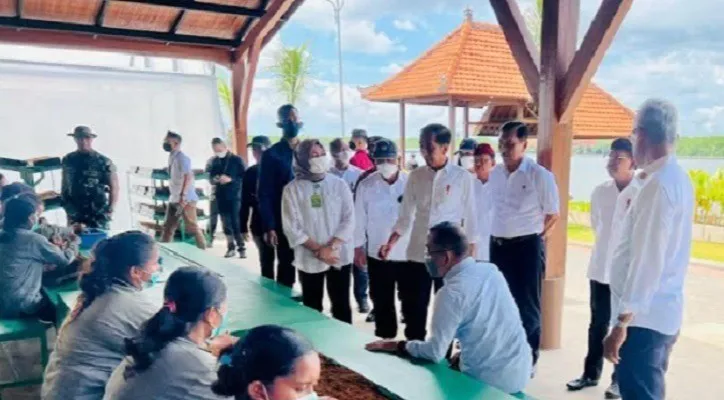 Presiden Joko Widodo saat meninjau salah satu titik penyelenggaraan KTT G20 di Bali. (Foto: biro pers)