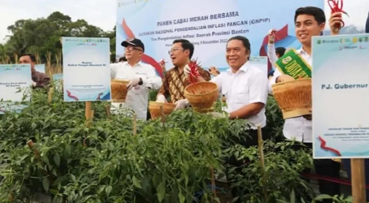 Pj Gubernur Banten Al Muktabar saat panen cabai merah bersama dalam Gerakan Nasional Pengendalian Inflasi Pangan (GNPIP) yang dilaksanakan oleh Tim Pengendalian Inflasi Daerah (TPID) Provinsi Banten, Rabu (9/11/2022). (ist)