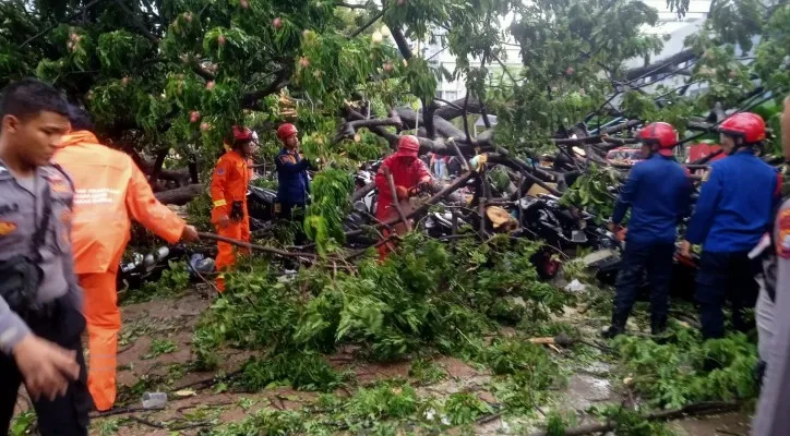 Pohon tumbang menimpa warga dan sejumlah kendaraan bermotor di Balai Kota DKI. (foto: ist)