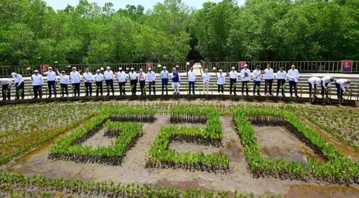 Jokowi ajak pemimpin negara-negara G20 tanam pohon mangrove. (Instagram/@jokowi)