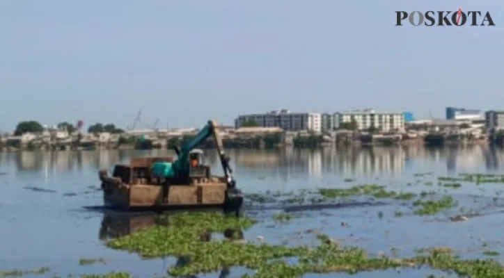 UPK Badan Air Kecamatan Penjaringan melakukan pengerukan eceng gondok di Waduk Pluit. (foto: poskota/rizki)