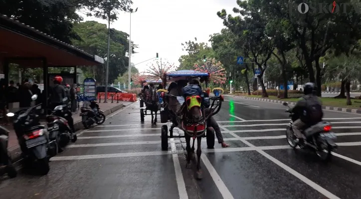 Delman yang sedang mengangkut penumpang di kawasan wisata Monas, Jakarta Pusat.(Foto: Aldi)