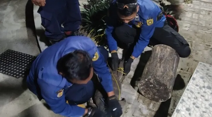 Petugas Damkar mengevakuasi biawak yang masuk rumah di Bojonggede, Kabupaten Bogor. (Ist)