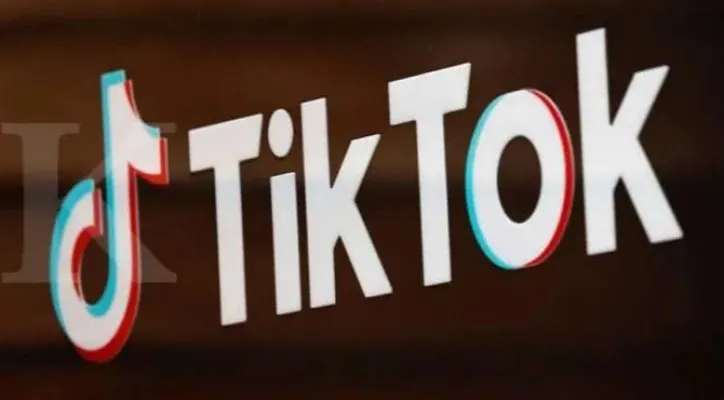 Unduh video Tiktok tanpa watermark.(ist)