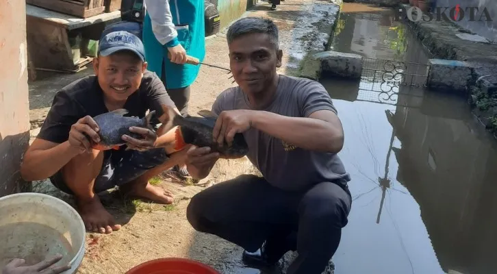 Foto: Warga Kampung Pos Muara RW 01, Desa Bojonggede, Kabupaten Bogor, Jawa Barat, Minggu (14/5/2023), panen raya ikan tawar dalam rangka Bulan Bakti Gotong Royong. (Poskota/Angga Pahlevi)