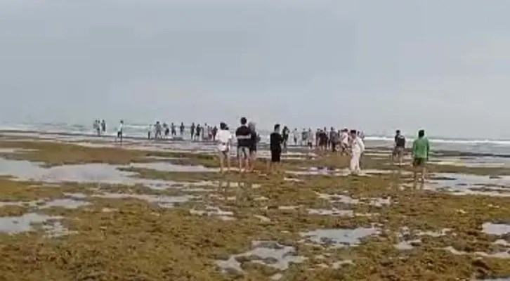 Puluhan warga Muara di Lebak saat mencari korban hanyut terseret ombak laut Binuangeun. (ist)