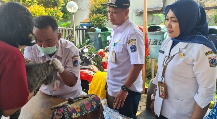 Kegiatan suntik vaksin rabies hewan peliharaan oleh Sudin KPKP Jakarta Barat. (Ist)