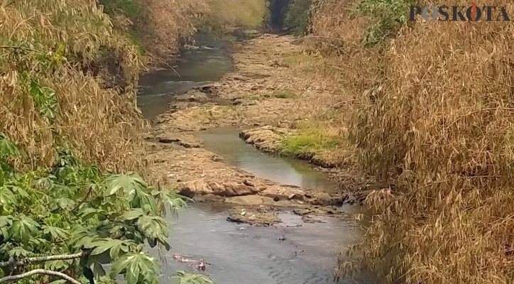 Teks Foto:Terlihat debit air kali ciliwung terjadi penyusutan akibat musim kemarau ekstrim dampak El Nino level moderate. (angga)