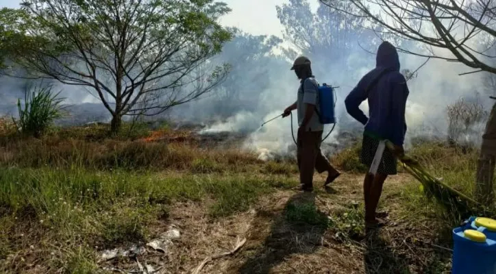 Teks Foto: Petugas sedang memadamkan api akibat Karhutla. (ist)