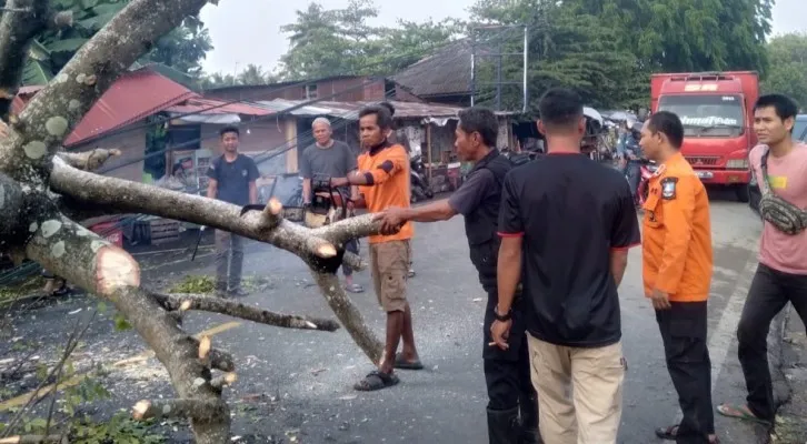 Teks foto : Tim SAR BPBD saat melakukan pemotongan batang pohon tumbang yang menutup jalan raya Anyer-Sirih. (ist)