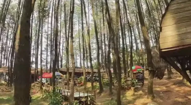 Liburan di Bogor, Berikut 3 Rekomendasinya (Youtube/Jalan Pelesrian)