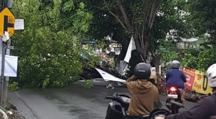 Pohon tumbang di Tangerang Selatan. (ist)