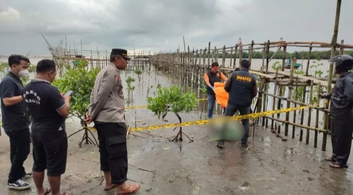 Tim Inafis Polres Pandeglang saat melakukan evakuasi jasad korban. (Foto: Samsul Fatoni).