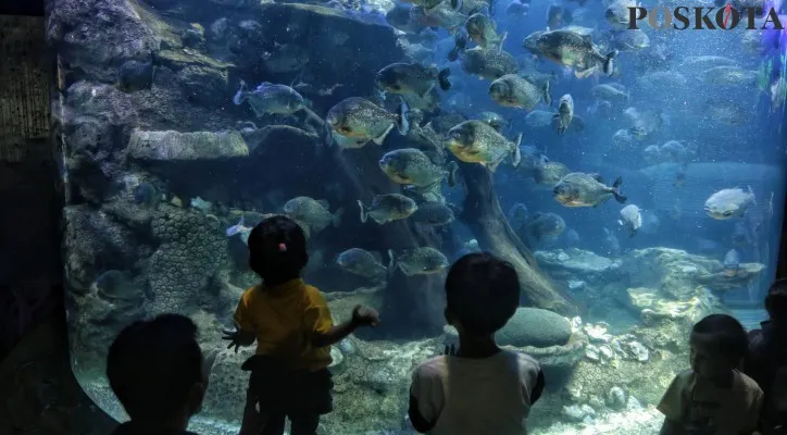 Sejumlah pengunjung saat mengamati ikan-ikan sambil menunggu waktu berbuka puasa di Sea World, Ancol Taman Impian, Jakarta Utara, (Poskota/Ahmad Tri Hawaari)