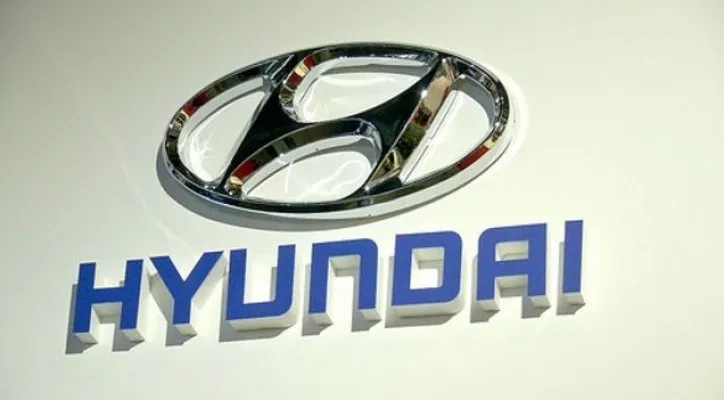 Hyundai Ajak Perusahaan Jepang untuk Pemanfaatan Serat Karbon (Foto: Pinterest)