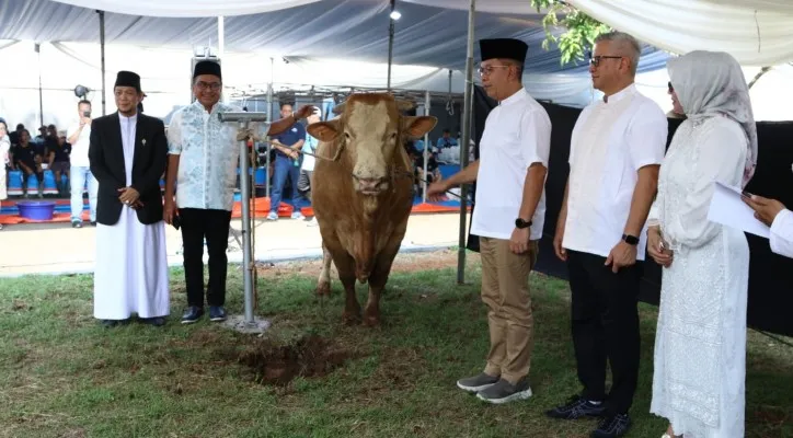 Foto: Bank Mandiri menyerahkan hewan kurban perayaan Idul Adha. (Dok. Bank Mandiri)