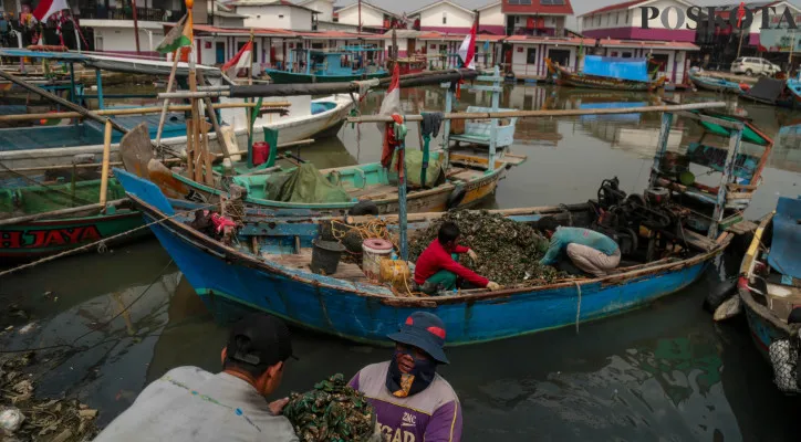 Aktivitas warga saat membersihkan kerang hijau di Pemukiman Nelayan Kerang Hijau Muara Angke, Jakarta Utara. (Poskota/Ahmad Tri Hawaari)