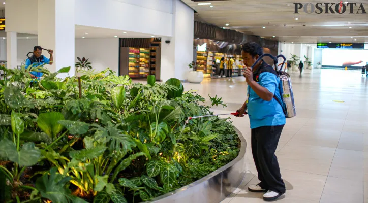 Wajah Baru Pemandangan Hijau Terminal 3 Kedatangan Bandara Soekarno Hatta
