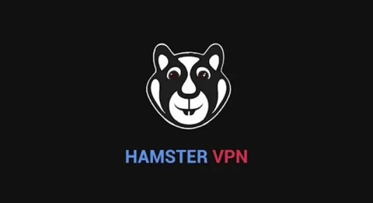 Link Download Apk Hamster VPN Terbaru 2024, Koneksi Cepat dan Bandwidth Tanpa Batas untuk Android Foto: Hamster VPN