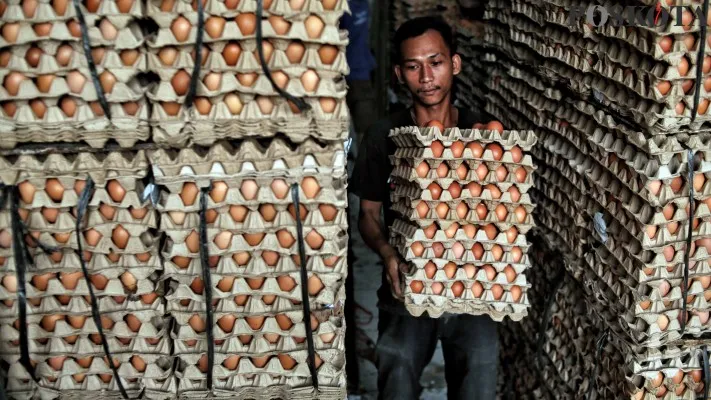 Harga telur ayam mengalami kenaikan di sejumlah pasar. (Poskota)