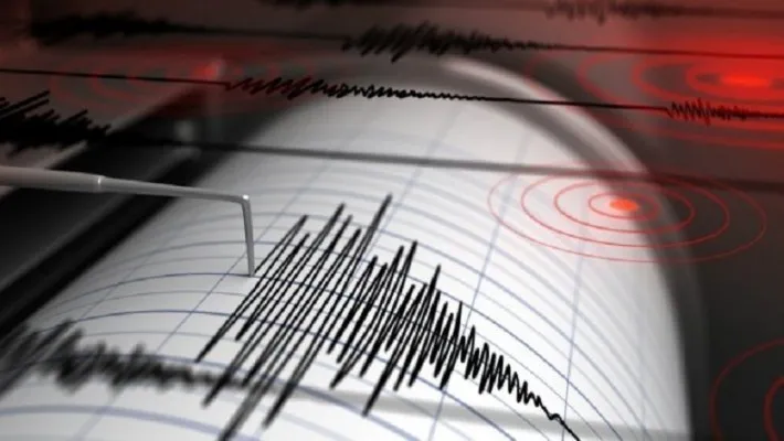 Ilustrasi Gempa, BMKG melaporkan Pagi ini, 7 Januari 2025 gempa bumi melanda Keerom, Papua . (ist)