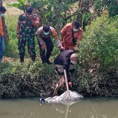 Foto : Petugas mengangkat jasad pria tanpa identitas di Kali Ciherang, Desa Karangsetia, Kecamatan Karangbahagia, Cikarang, Kabupaten Bekasi. (ist.)