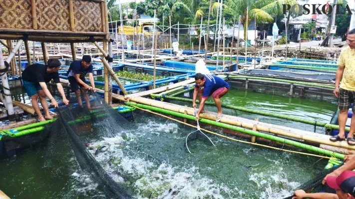 Tambak ikan milik warga Kecamatan Periuk, Kota Tangerang. (foto: Iqbal)