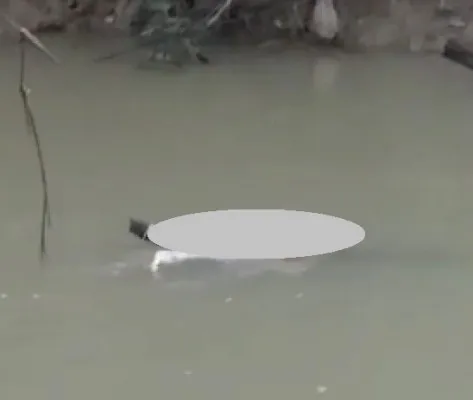 Foto potongan kaki manusia tersangkut di aliran Sungai Cimanceuri yang beredar. (Ist)