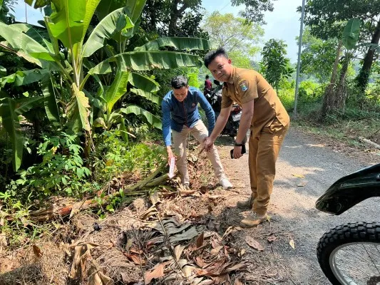 Foto: Petugas menunjukkan penemuan bayi laki-laki dibuang di kardus dekat pohon pisang di Jambe, Kabupaten Tangerang. (Ist.)