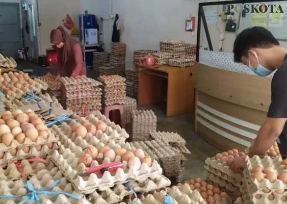 Foto: Penjual telur ayam di wilayah Kabupaten Tangerang, Banten, harga telur merangkak naik. (Poskota/Veronica Prasetio)