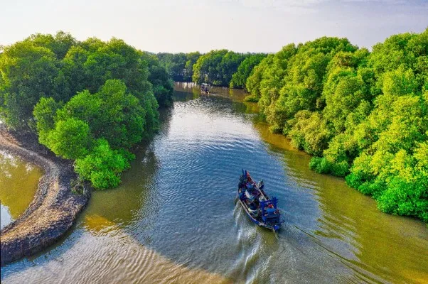 Degradasi terhadap lahan gambut dan mangrove terjadi di sejumlah wilayah Indonesia.  (Ist)