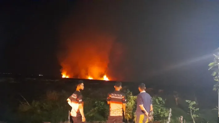 Kebakaran Hutan dan Lahan di Kota Banjarmasin. (ist)