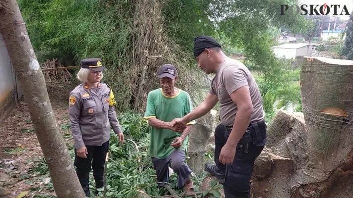 Teks Foto:Kapolsek Tajurhalang Iptu Tamar dengan Bhabinkamtibmas Desa Tonjong Aiptu Jais Ronggolawe menebang pohon pakis di desa rawan tumbang. (Angga)