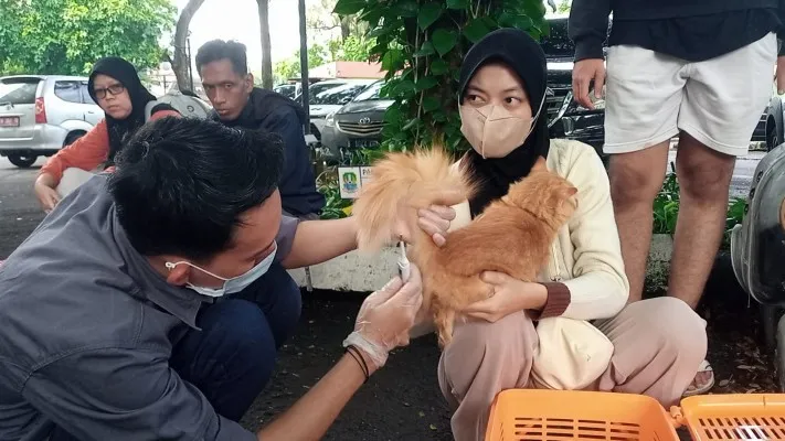 Hewan peliharaan di suntik vaksin rabies di Kota Bekasi.(Poskota.co.id/Ihsan Fahmi)