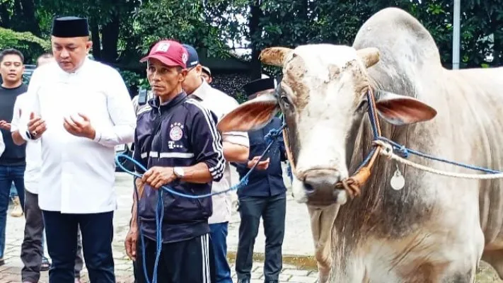 Ketua DPRD Kabupaten Bogor serahkan puluhan hewan kurban dari Prabowo (Dok. Pribadi)